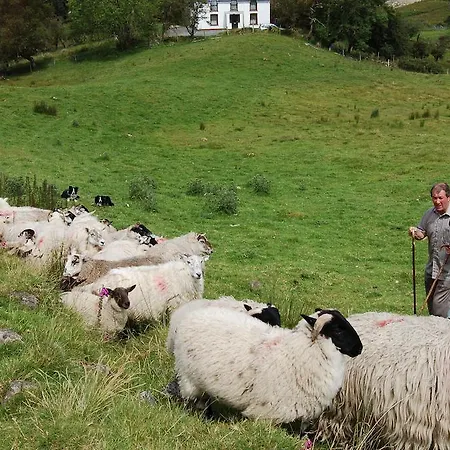 Drumcorroy Farmhouse Bed & Breakfast 3*
